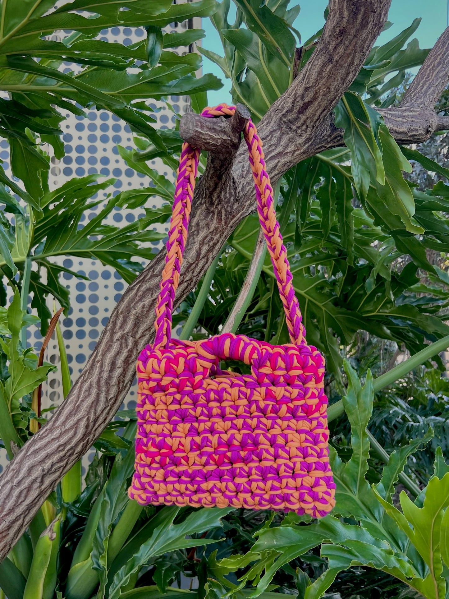Classic Bougainvillea